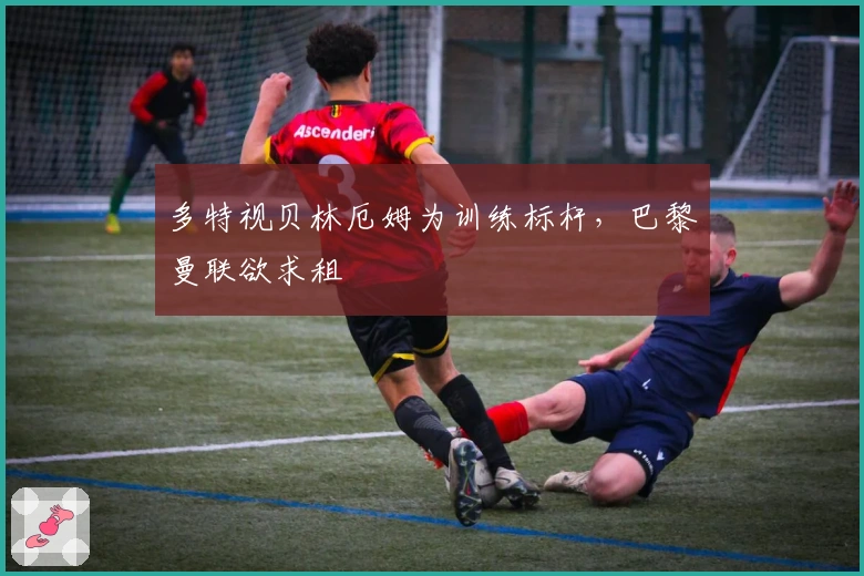 多特视贝林厄姆为训练标杆，巴黎曼联欲求租