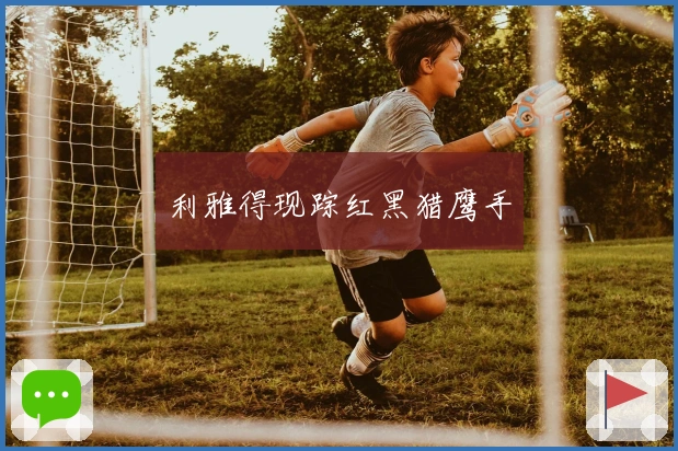 利雅得现踪红黑猎鹰手